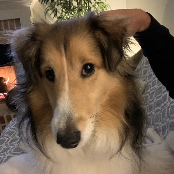 Meet your Posher, Tim - Picture 1 of 1